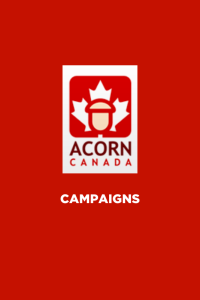 Canada Campaigns