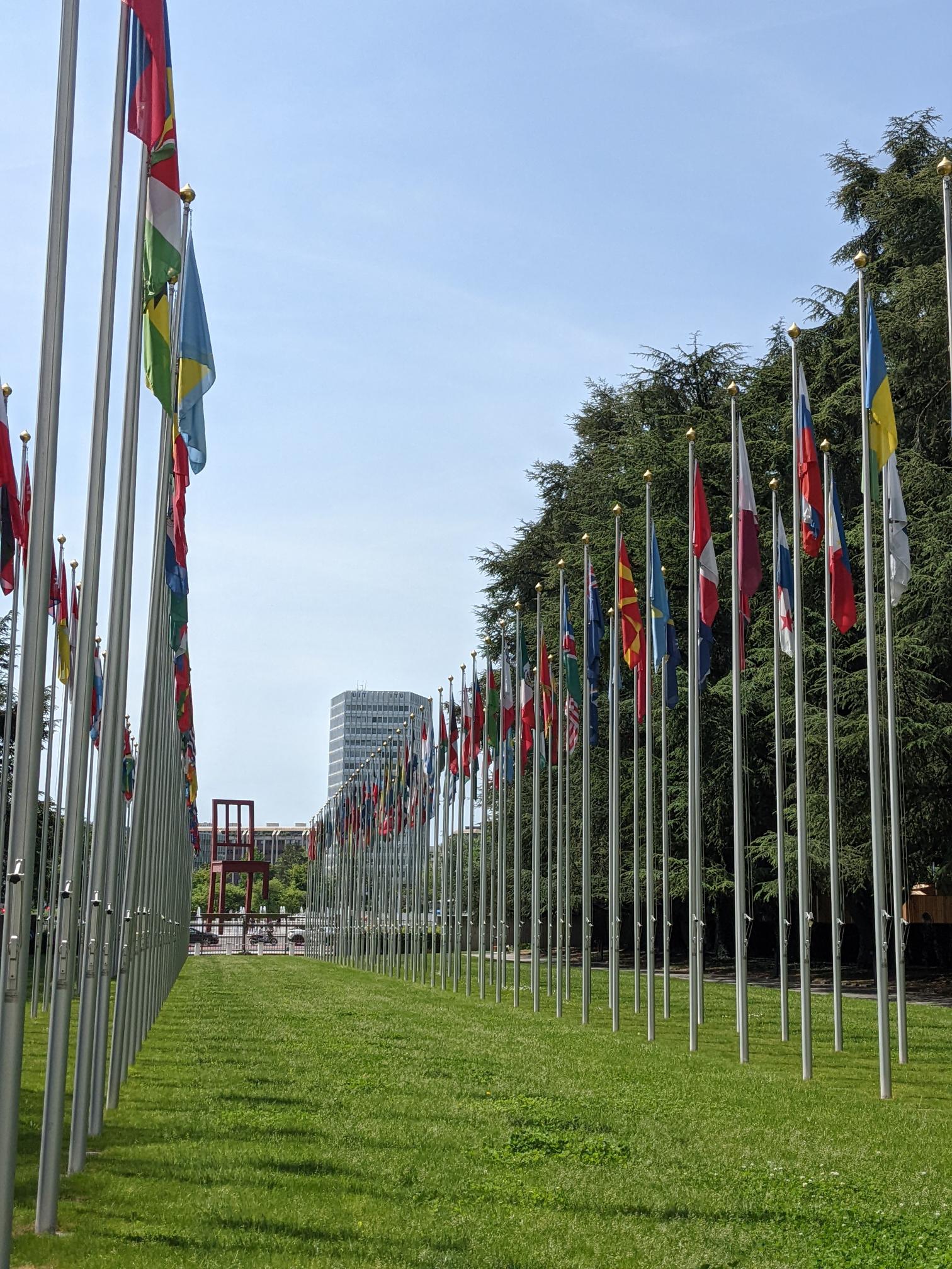 United Nation Flags - Geneva - National Right to Housing Network